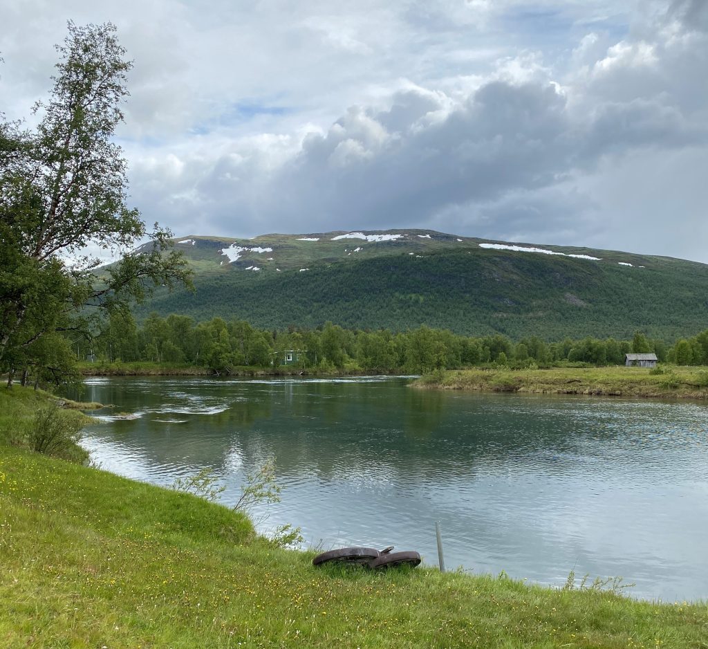 En sommarbild med gräsyta i förgrunden. Sedan vatten och ett fjäll. 